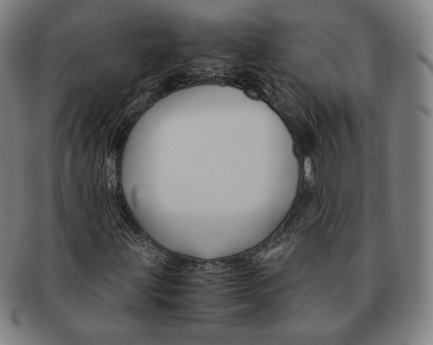 X0000090961203200708301155