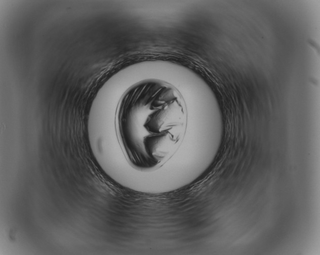 X0000090961204200708301155