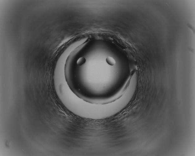 X0000090961206200708301155