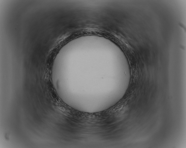 X0000090961207200708301155