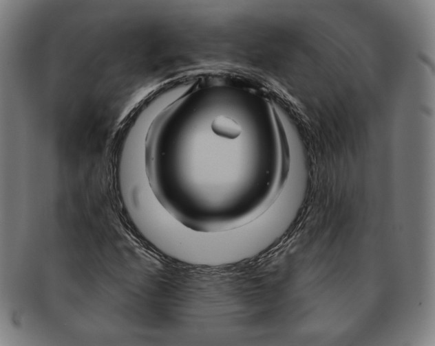 X0000090961208200708301155