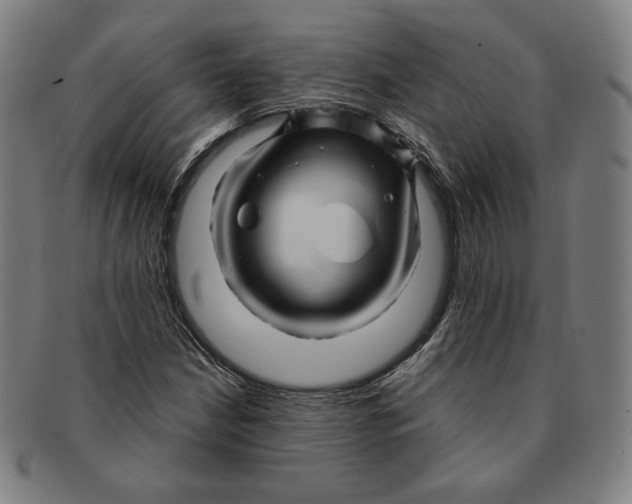 X0000090961210200708301155