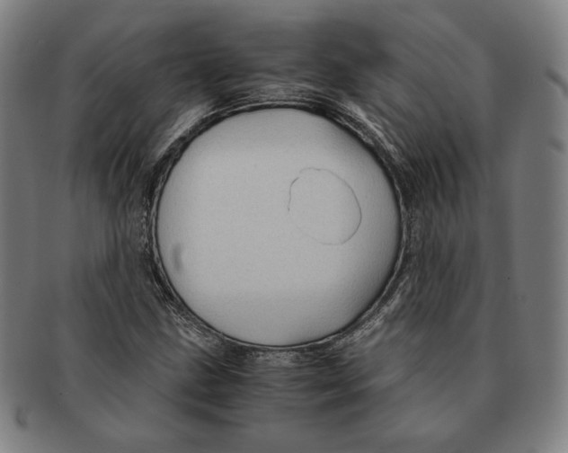 X0000090961211200708301155