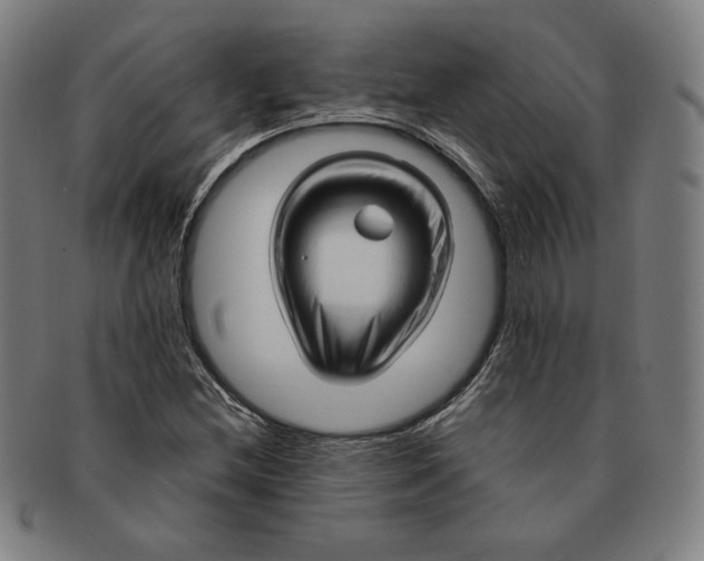 X0000090961212200708301155