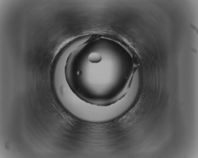 X0000090961214200708301155