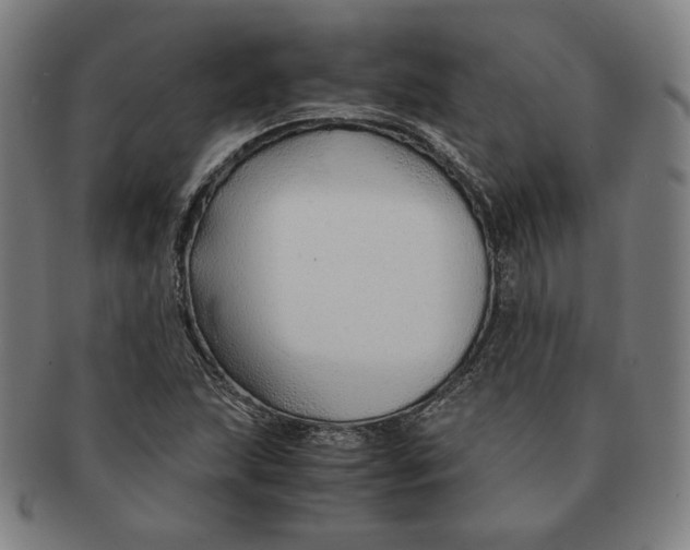 X0000090961215200708301155