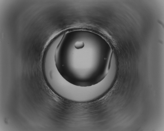 X0000090961216200708301155