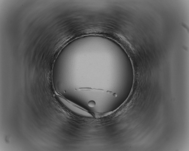 X0000090961217200708301155