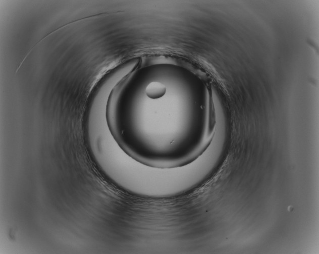 X0000090961218200708301155