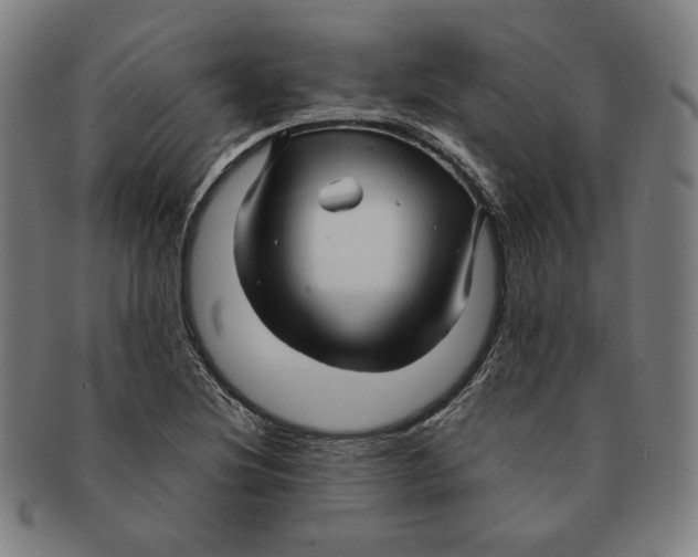 X0000090961220200708301155