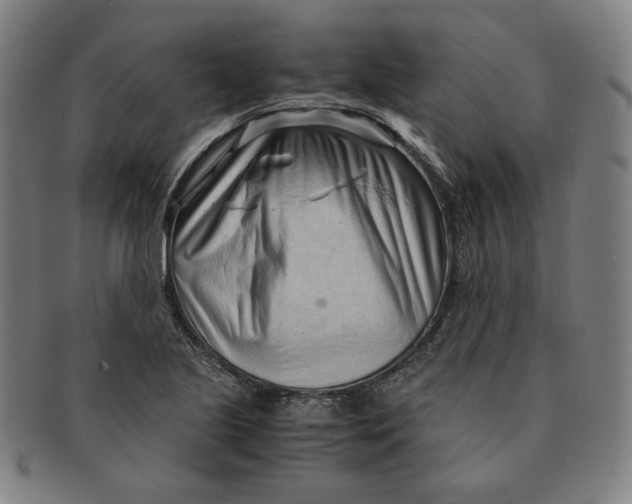 X0000090961221200708301155