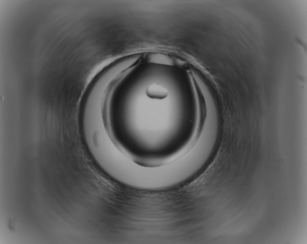 X0000090961222200708301155