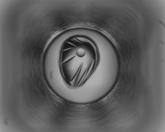 X0000090961224200708301155