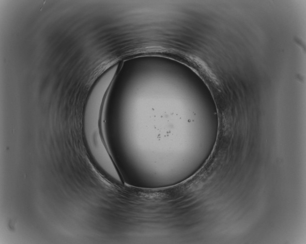 X0000090961225200708301155