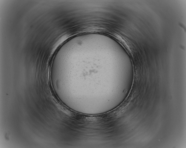 X0000090961227200708301155