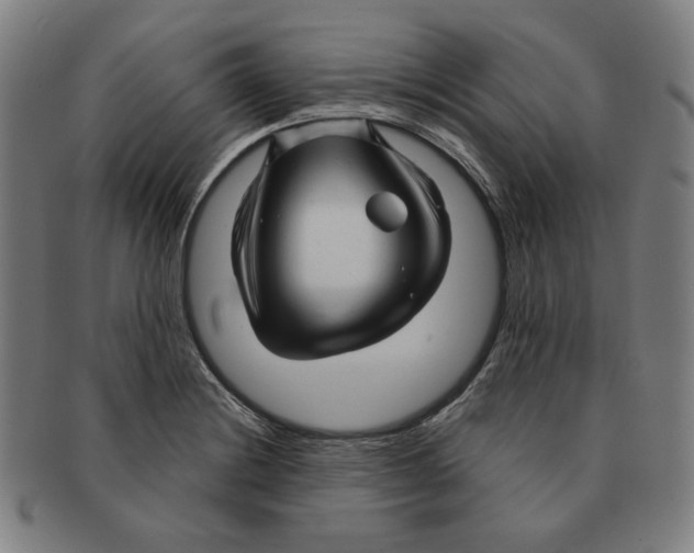 X0000090961228200708301155