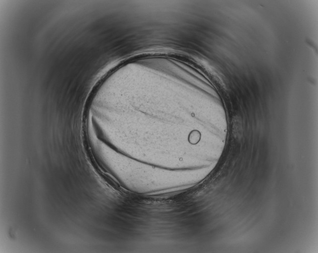 X0000090961229200708301155