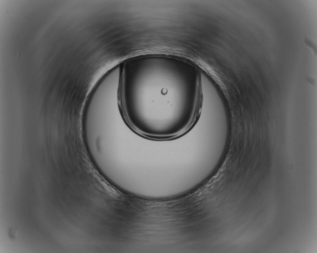 X0000090961230200708301155