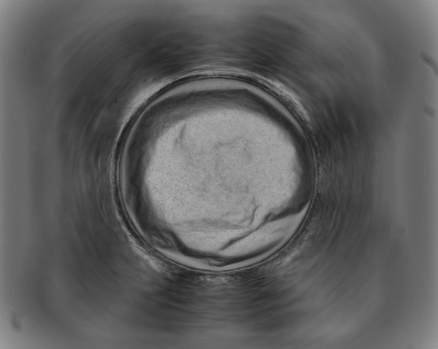 X0000090961231200708301155