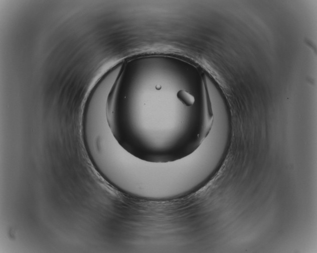 X0000090961232200708301155