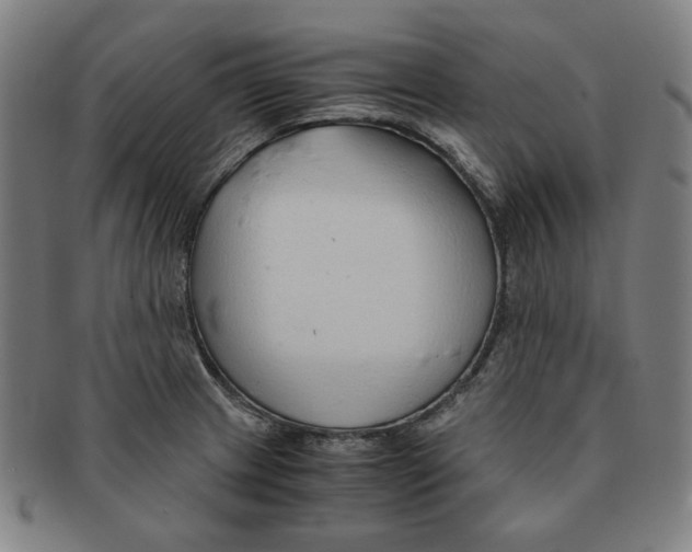 X0000090961233200708301155