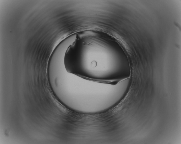 X0000090961234200708301155