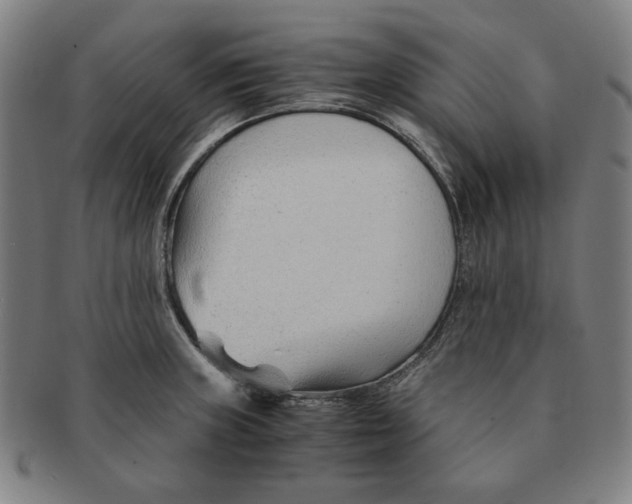 X0000090961235200708301155