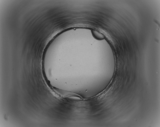 X0000090961237200708301155