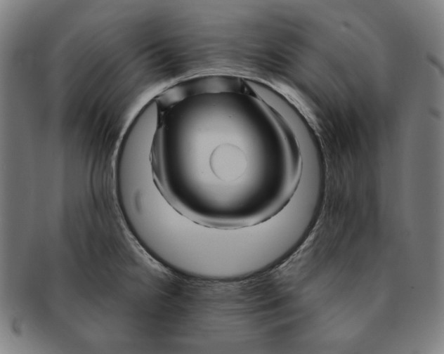 X0000090961238200708301155