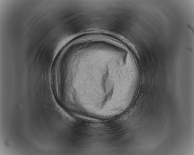 X0000090961239200708301155