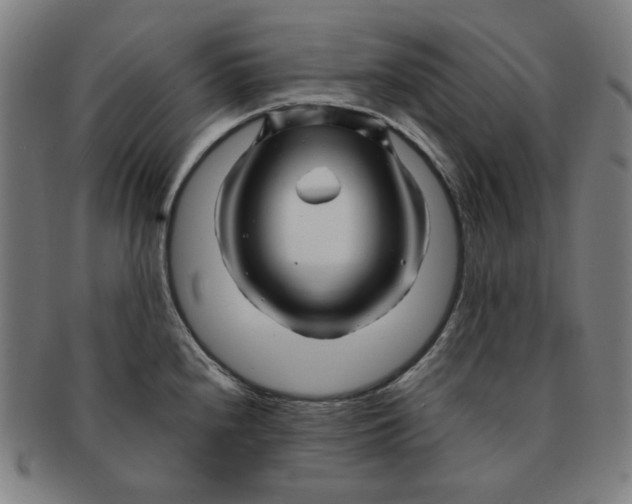 X0000090961240200708301155