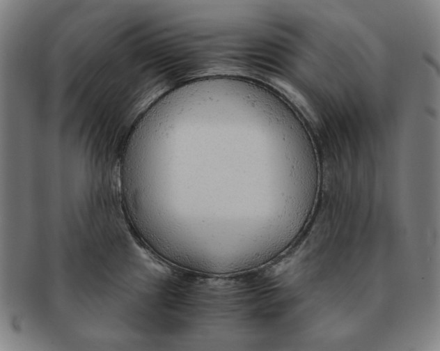 X0000090961241200708301155