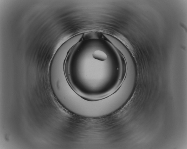 X0000090961242200708301155