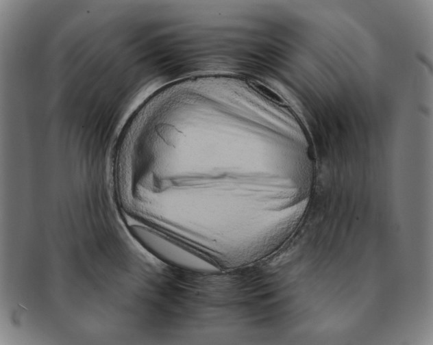 X0000090961243200708301155