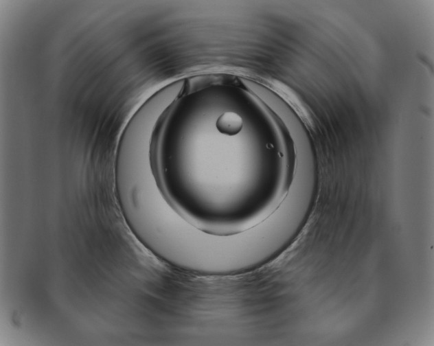 X0000090961244200708301155