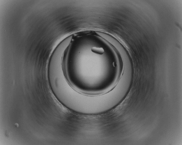 X0000090961246200708301155