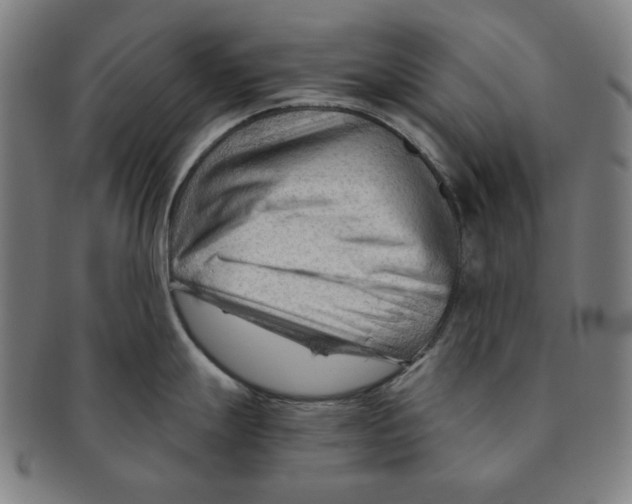 X0000090961247200708301155