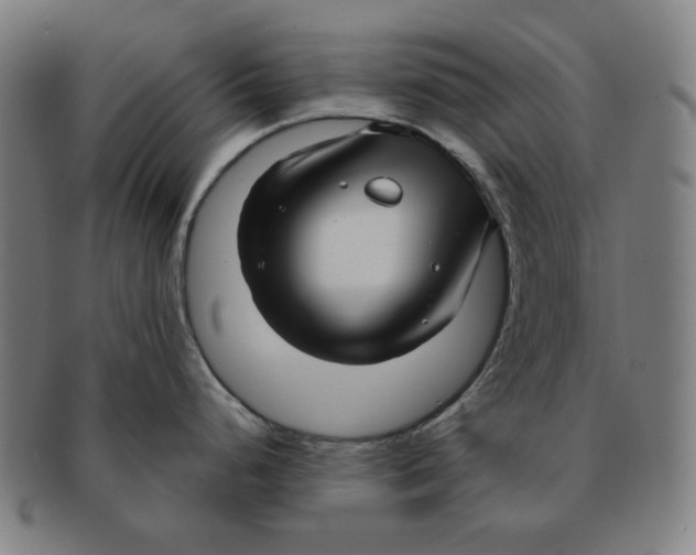 X0000090961248200708301155