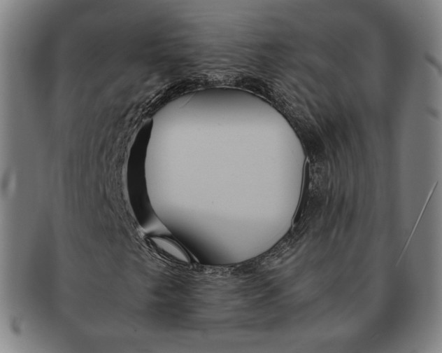 X0000090961249200708301155