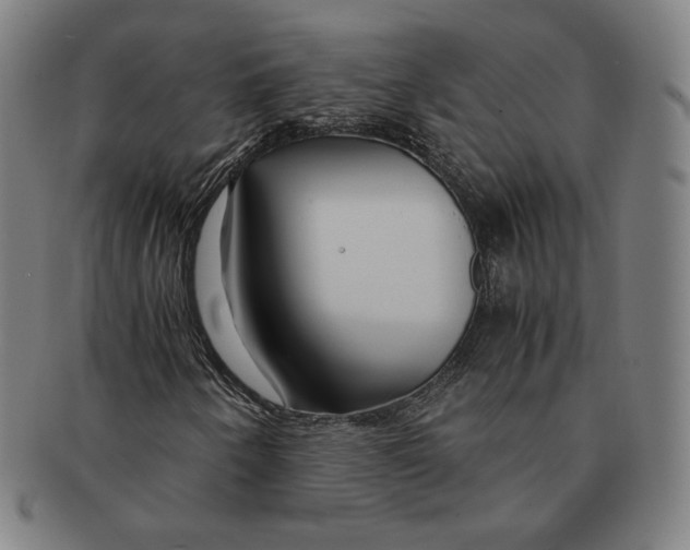 X0000090961250200708301155