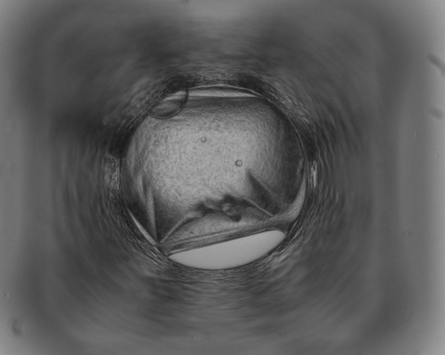 X0000090961251200708301154