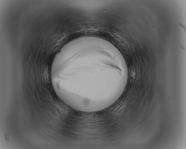 X0000090961252200708301154