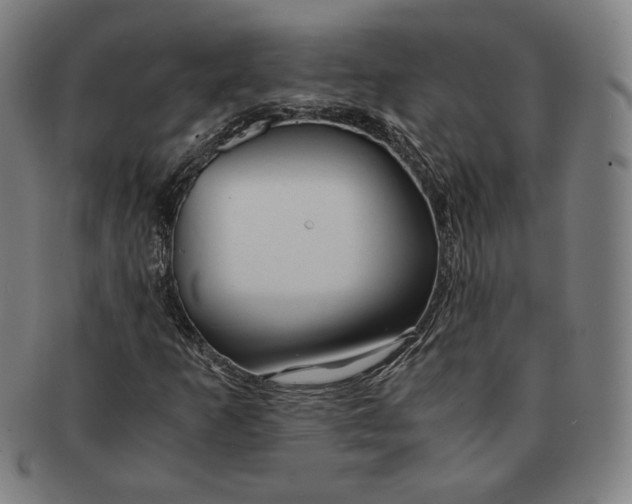 X0000090961253200708301154