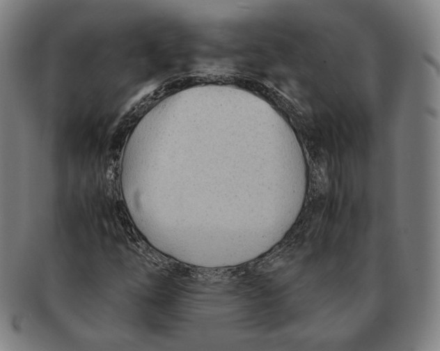 X0000090961254200708301154