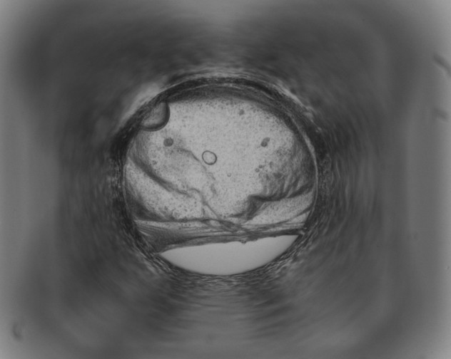 X0000090961255200708301154