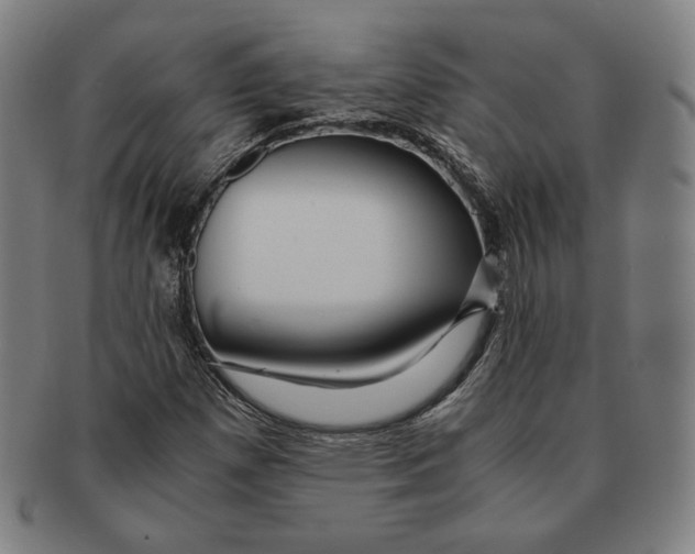 X0000090961257200708301154