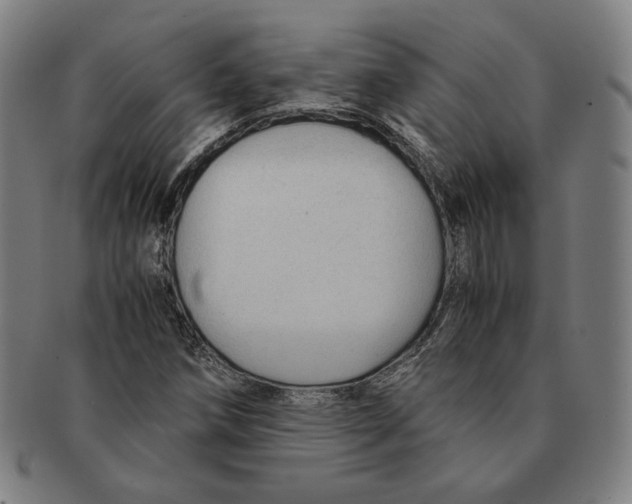 X0000090961258200708301154