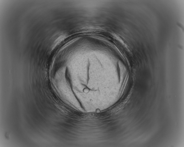 X0000090961259200708301154