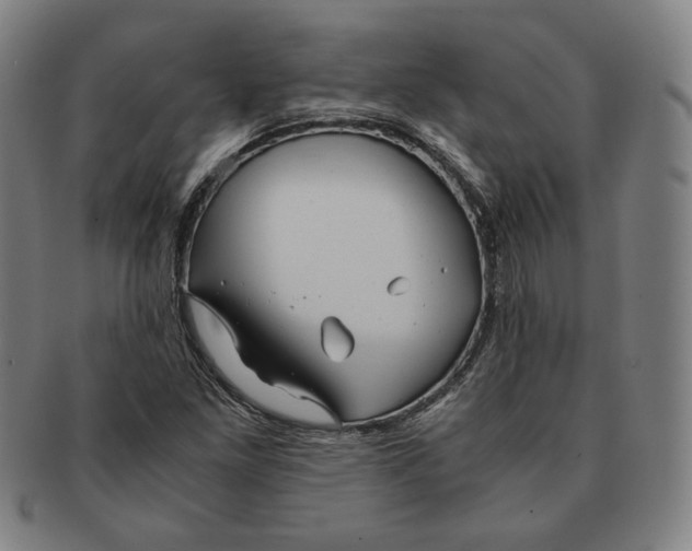 X0000090961261200708301154