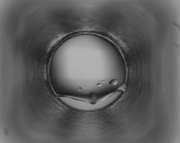 X0000090961262200708301154